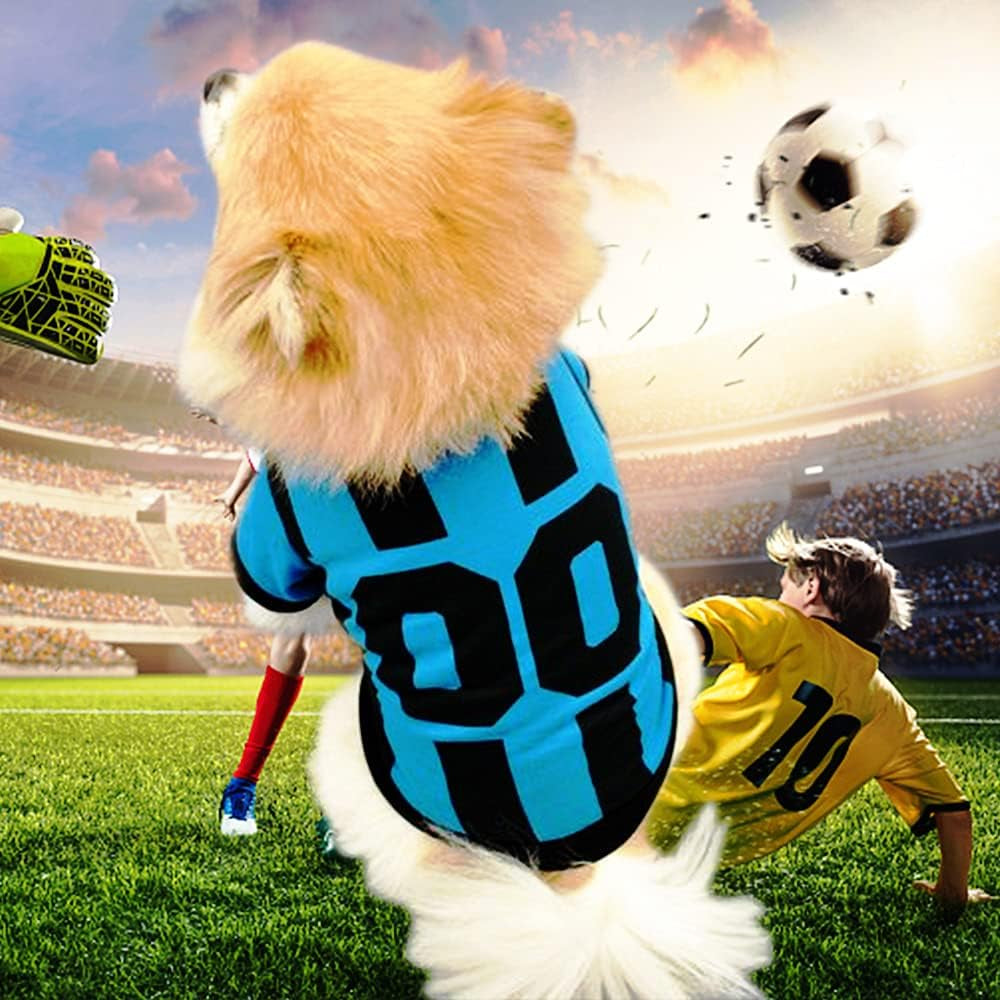 3 Piece Pet Dog Clothes for Small Dogs Girl Boy Puppy Shirt Male Female Outfits  Cat Clothing Apparel for Teacup Rench Bulldog Yorkie Breed (XS)